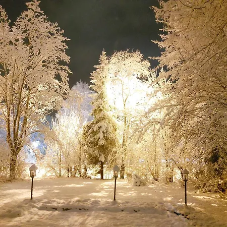 Cronin's Отель типа 