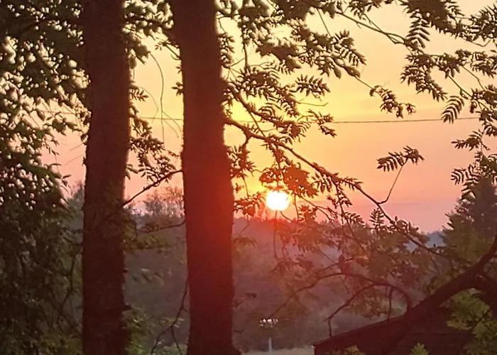 Bed & Breakfast Cronin's 4*