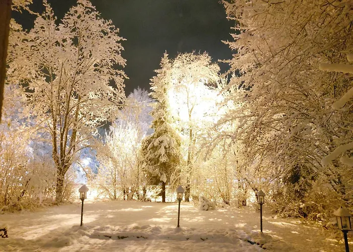 Cronin's Bed & Breakfast